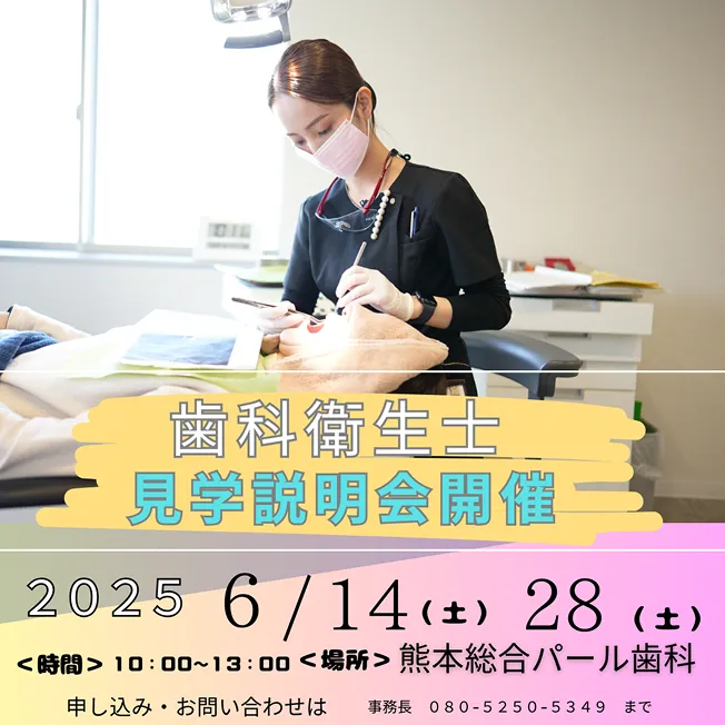 見学説明会